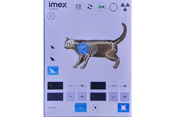 Imagem da tela mostrando um Raios X de gato da Imex Medical Group